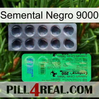 Black Stallion 9000 new04